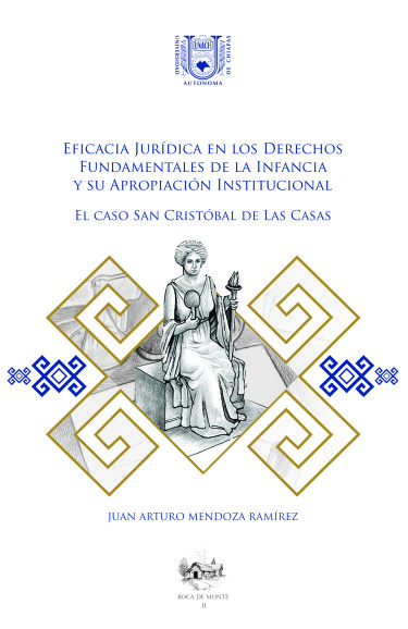 Eficacia Jurídica en los Derechos Fundamentales de la Infancia y su apropiación institucional.