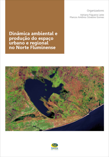 Dinâmica ambiental e produção do espaço urbano e regional no Norte Fluminense