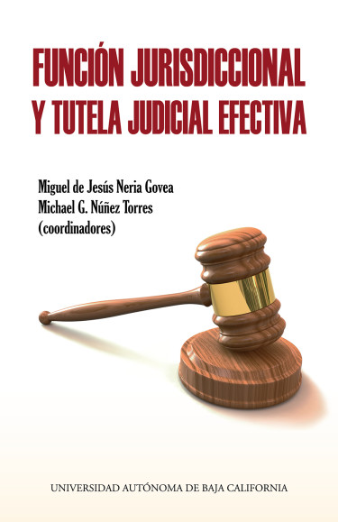 Función jurisdiccional y tutela judicial efectiva