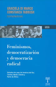 FEMINISMOS, DEMOCRATIZACIÓN Y DEMOCRACIA RADICAL. Estudios de caso de América del Sur, Central, Medio Oriente y Norte de África