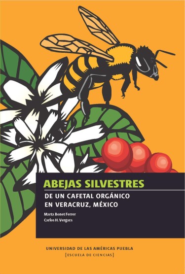 Abejas silvestres de un cafetal orgánico en Veracruz, México