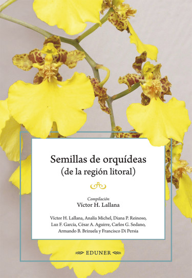 Semillas de orquídeas (de la región litoral)