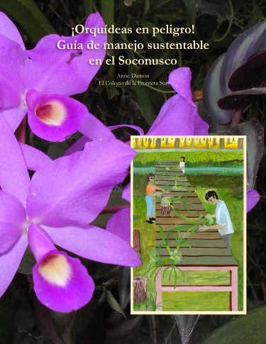 ¡Orquídeas en peligro! Guía de manejo sustentable en el Soconusco