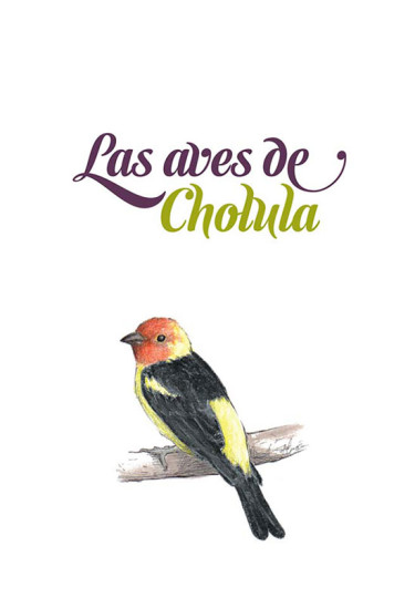 Las aves de Cholula