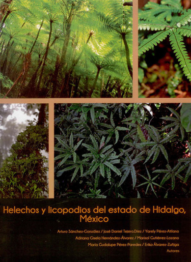 Helechos y licopodios del estado de Hidalgo, México