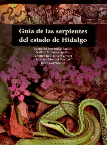 Guía de las serpientes del estado de Hidalgo