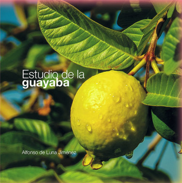 Estudio de la guayaba