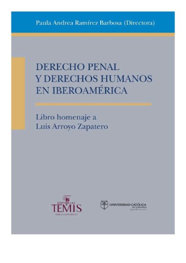 Derecho penal y derechos humanos en Iberoamérica