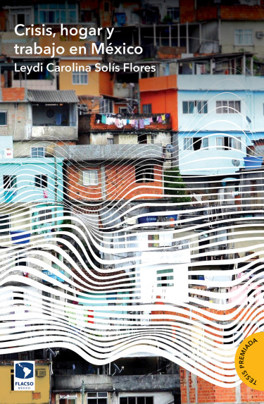 Crisis, hogar y trabajo en México