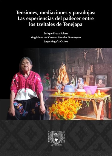 Tensiones, mediaciones y paradojas: