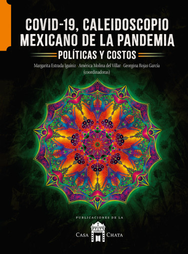 Covid-19, caleidoscopio mexicano de la pandemia.
