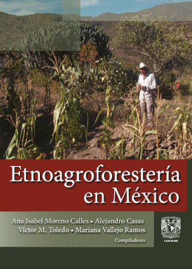 Etnoagroforestería en México