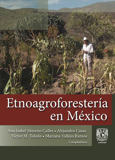 Etnoagroforestería en México