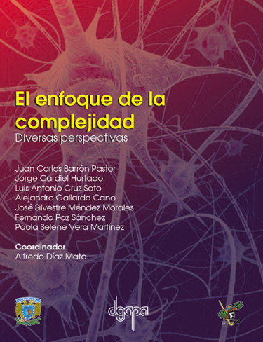 El enfoque de la complejidad: Diversas perspectivas