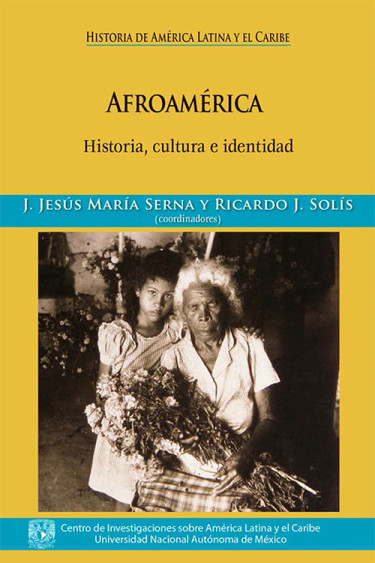 Afroamérica historia, cultura e identidad