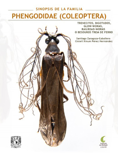 Sinopsis de la Familia Phengodidae (Coleoptera)