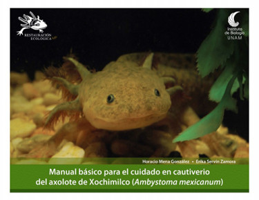 Manual básico para el cuidado en cautiverio del axolote de Xochimilco (Ambystoma mexicanum)