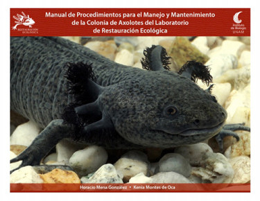 Manual de Procedimientos para el Manejo y Mantenimiento de la Colonia de Axolotes
del Laboratorio de Restauración Ecológica