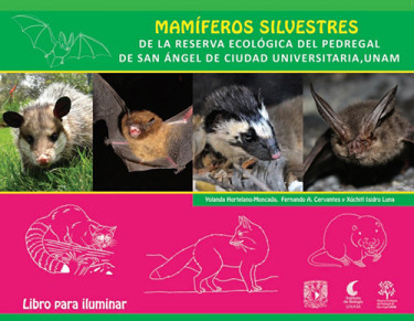 Mamíferos Silvestres de la Reserva del Pedregal
de San Ángel de Ciudad Universitaria, UNAM