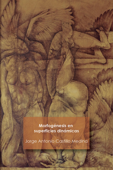 Morfogénesis en superficies dinámicas