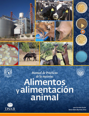 Manual de Prácticas de la materia