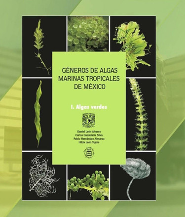 Géneros de algas marinas tropicales de México I. Algas Verdes