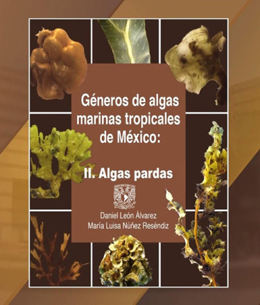 Géneros de algas marinas tropicales de México II: Algas pardas