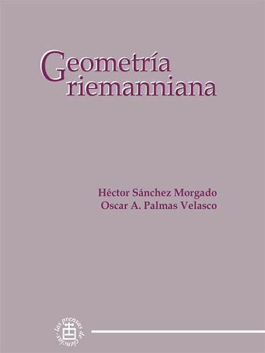 Geometría riemanniana