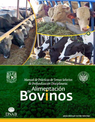 Manual de Prácticas de Temas Selectos de Profundización Disciplinaria