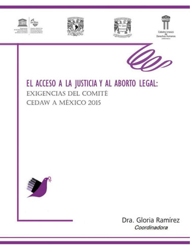 El Acceso a la Justicia y al Aborto Legal