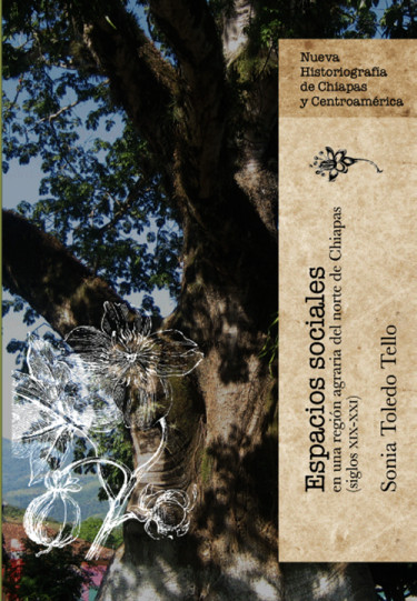 Espacios sociales en una región agraria del norte de Chiapas (siglos XIX-XXI)