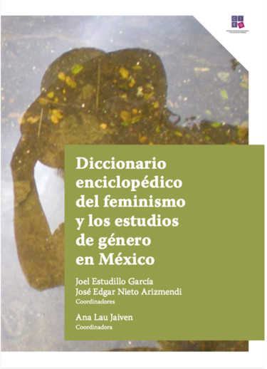 Diccionario enciclopédico del feminismo y los estudios de género en México