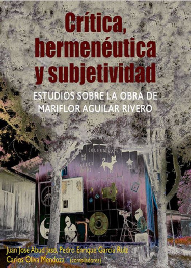 Crítica, hermenéutica y subjetividad
