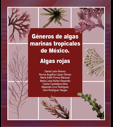 Géneros de algas marinas tropicales de México. Algas rojas