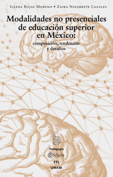 Modalidades no presenciales de educación superior en México: Composición, tendencias y desafíos