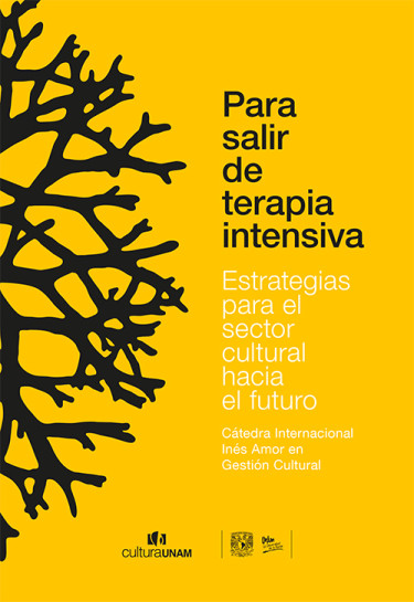 Para salir de terapia intensiva. Estrategias para el sector cultural hacia el futuro