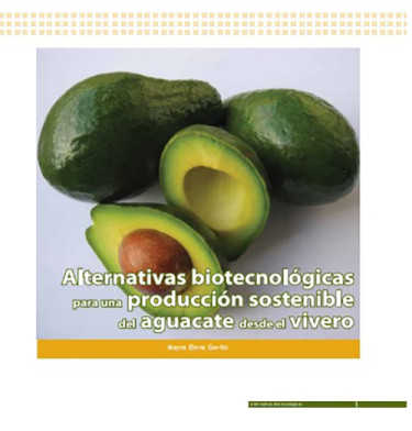 Alternativas biotecnológicas para una producción sostenible de aguacate desde el vivero
