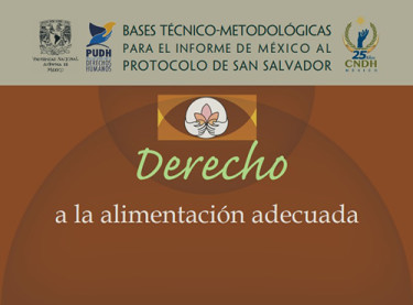 Derecho a la Alimentación Adecuada