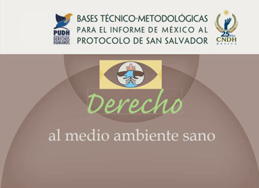 Derecho al Medio Ambiente Sano