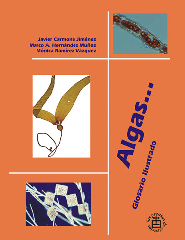 Algas… Glosario ilustrado