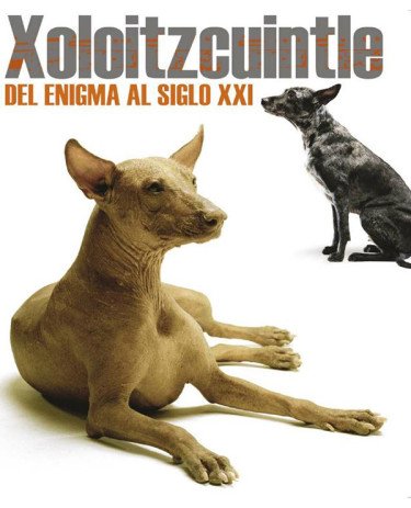 Xoloitzcuintle. Del enigma al siglo XXI.