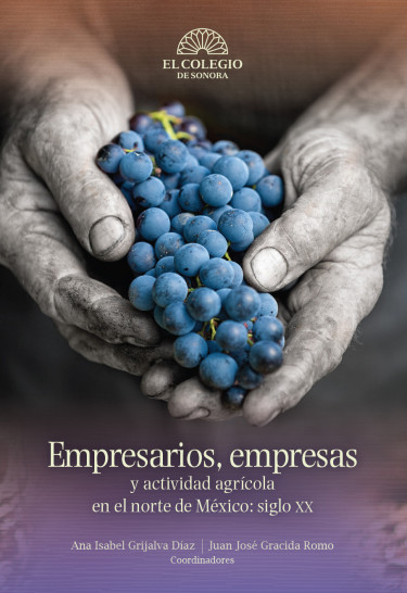 Empresarios, empresas y actividad agrícola en el norte de México: siglo XX