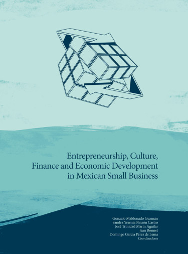Entrepreneurship, culture, finance and economic development in mexican small business