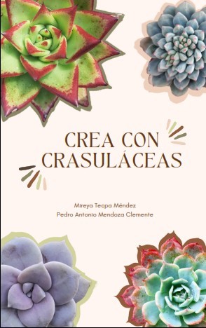 Crea con crasuláceas