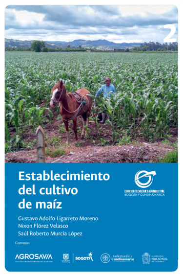Establecimiento del cultivo de maíz