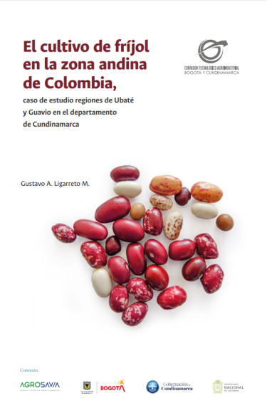 El cultivo de fríjol en la zona andina de Colombia