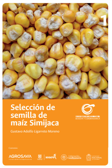 Selección de semilla de maíz Simijaca