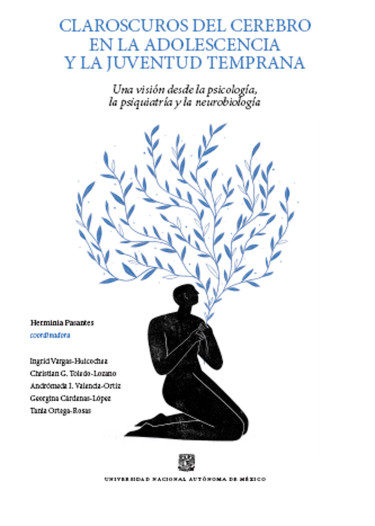 Claroscuros del cerebro en la adolescencia y la juventud temprana. Una visión desde la psicología, la psiquiatría y la neurobiología