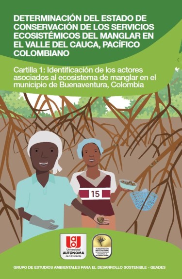 DETERMINACIÓN DEL ESTADO DE CONSERVACIÓN DE LOS SERVICIOS ECOSISTÉMICOS DEL MANGLAR EN EL VALLE DEL CAUCA, PACÍFICO COLOMBIANO