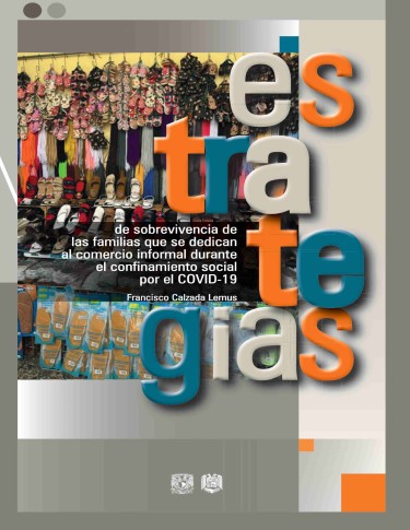 Estrategias de sobrevivencia de las familias que se dedican al comercio informal durante el confinamiento social por el COVID-19